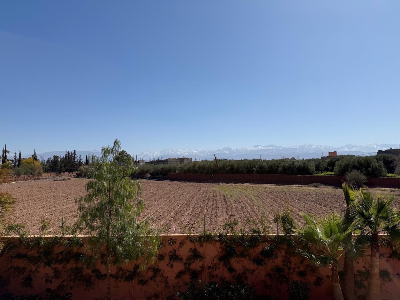 Villa Cathy — WhatsApp Image 2026-02-05 at 14.03.41 (4).jpeg